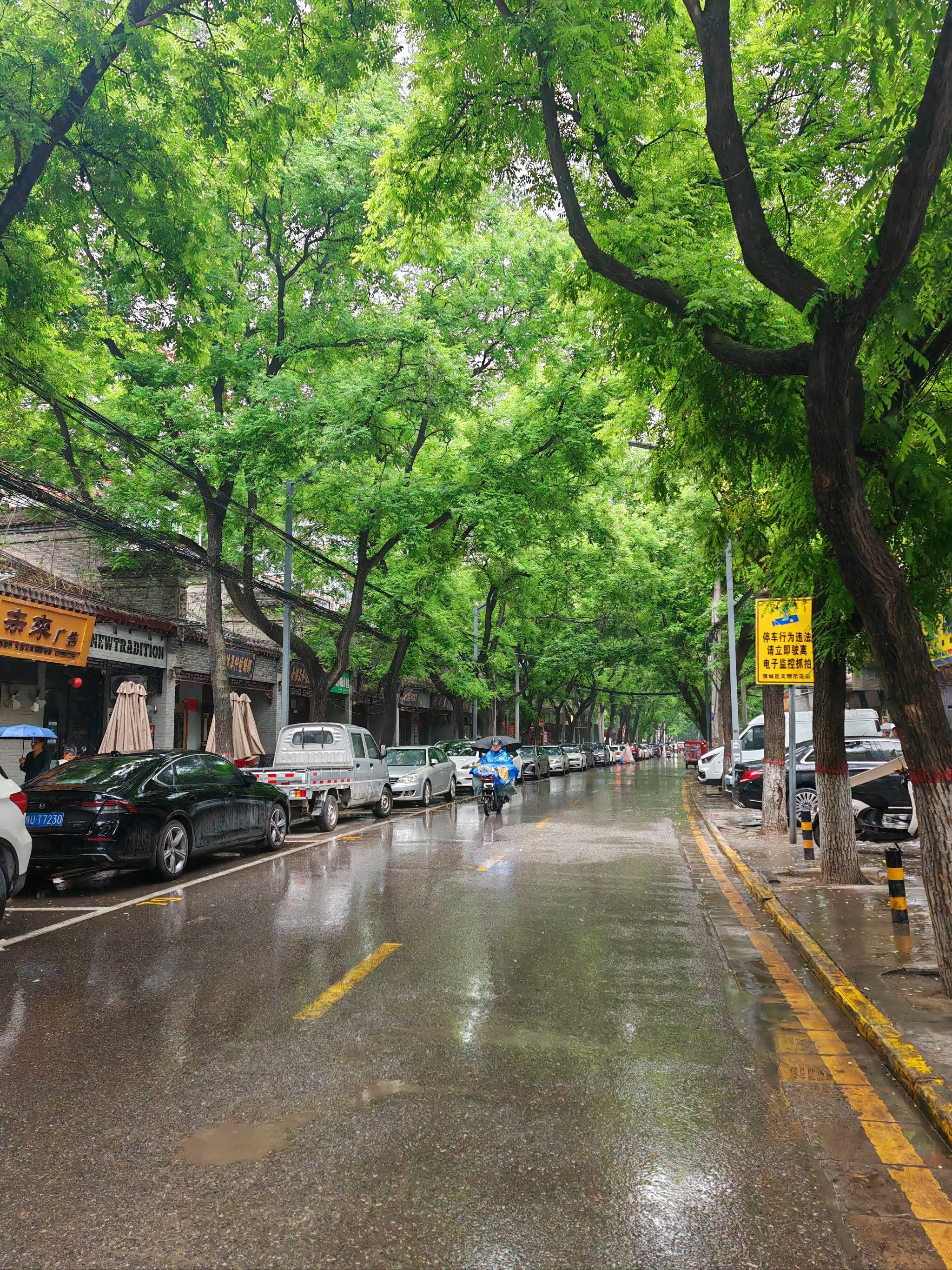 1765176616143.jpg 1765176616143.jpg